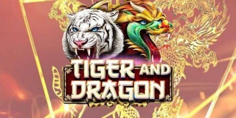 Giới Thiệu Luật Chơi Cơ Bản Trong Game Rồng Hổ